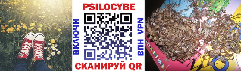 купить наркоту  Морозовск  darknet клад  Галлюциногенные грибы Cubensis 